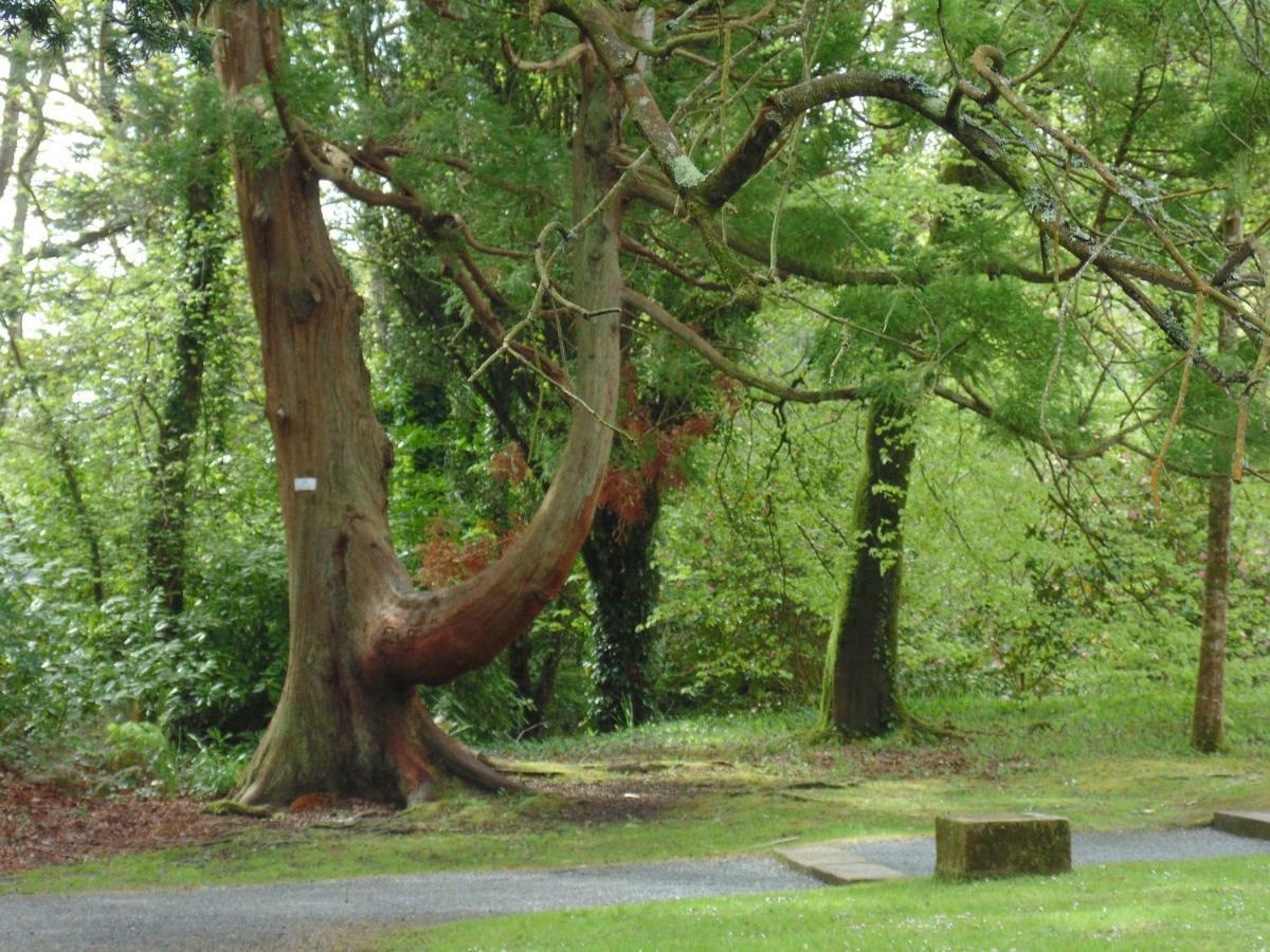 Lough Rynn Rental Mohill Kültér fotó